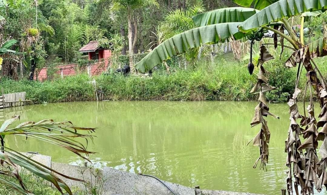 Chacara Recanto Dos Passaros Bairro das Rosas Exterior foto